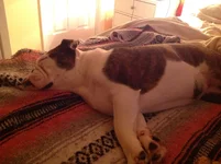 image.webp