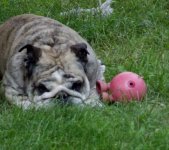 july 13th 015.JPG july 13th 015.JPG