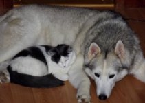 pals 005.JPG pals 005.JPG