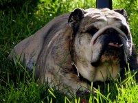 moresept17 015.jpg moresept17 015.jpg