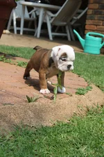 2010-03-22 12.39.00.webp