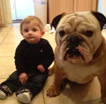 image.webp