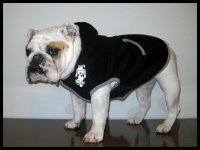lous hoodie.jpg lous hoodie.jpg