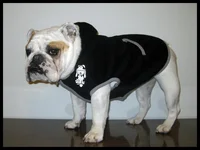lous hoodie.webp lous hoodie.webp
