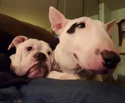 image.jpeg image.jpeg