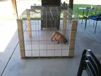 2011-07-20 12.33.11.webp