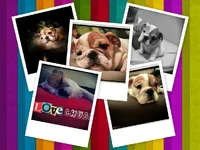 uploadfromtaptalk1432958529636.webp