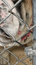 IMG_10831.png IMG_10831.png