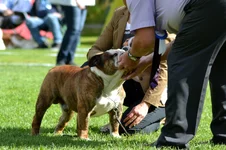 DSC_0102.webp DSC_0102.webp
