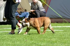 DSC_0127.webp DSC_0127.webp