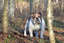 DSC_0360.webp DSC_0360.webp