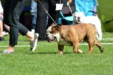 DSC_0132.webp DSC_0132.webp