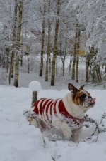 DSC_0682.jpg DSC_0682.jpg