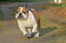 DSC_0117.webp DSC_0117.webp