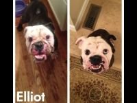 elliott.jpg elliott.jpg