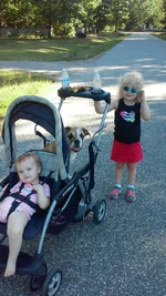 Girls in the stroller.webp