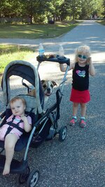 Girls in the stroller.jpg