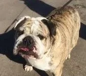 Ellie-Mae2.webp