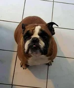 titus.webp