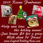 Holiday Rescue Fundraiser copy.png