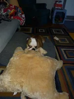 IMG_20160109_121651.webp