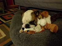IMG_20151220_192757.webp