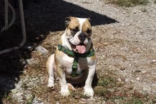 DSCF5594.webp
