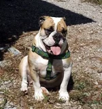 DSCF5594.webp