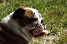 DSCF5607.webp