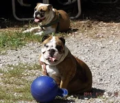 DSCF5603.webp