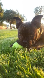 Attach0_20160316_184708.webp