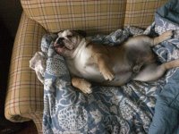 IMG_0932.JPG IMG_0932.JPG