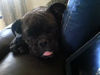 20160318_182324.webp