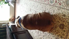 20140907_091556.webp