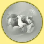 crystalballdogs.webp