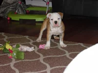 SAM_0351.webp