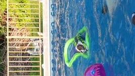 20150727_190745.webp