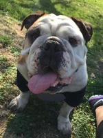 betty.webp