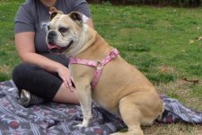 roxy.jpg roxy.jpg