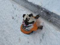 image.jpeg image.jpeg