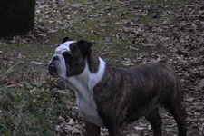 RIMG0134.webp