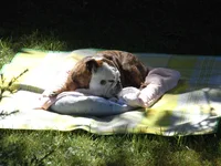 bilder 8 400.webp bilder 8 400.webp