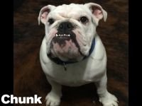 chunk.jpg chunk.jpg