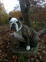 bilder 58 004.webp bilder 58 004.webp
