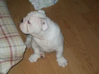 100_0444.webp