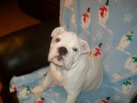 100_0450.webp