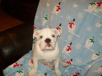 100_0449.webp