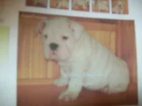 100_0626.webp