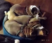 DSCF5364.webp