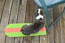 DSC_0394.JPG DSC_0394.JPG